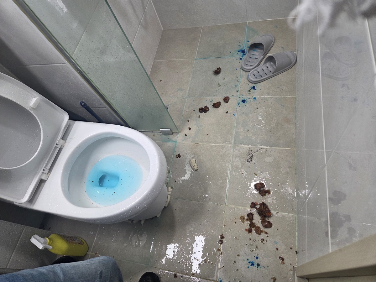 변기에 과일씨앗 버렸다가 막혔어요 — 변기 탈거 후 배관청소 및 이물질 제거 현장